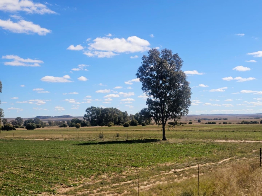 4 Bedroom Property for Sale in Dewetsdorp Free State